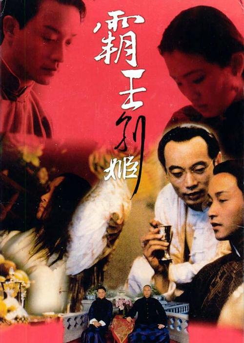 办假的爱尔兰身份证